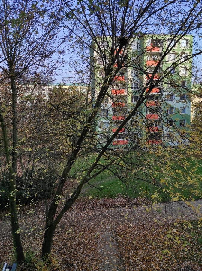 Stiborka Lägenhet Olomouc Exteriör bild